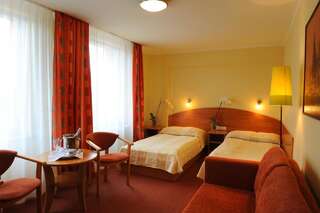 Отель Hotel Gorzów Гожув-Велькопольски Стандартный номер с 2 односпальными кроватями и диваном-3